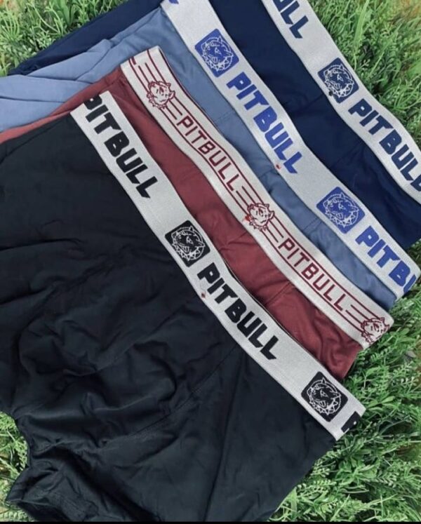 Cueca Boxer Pitbull Lisa Ref.2001 - Image 2