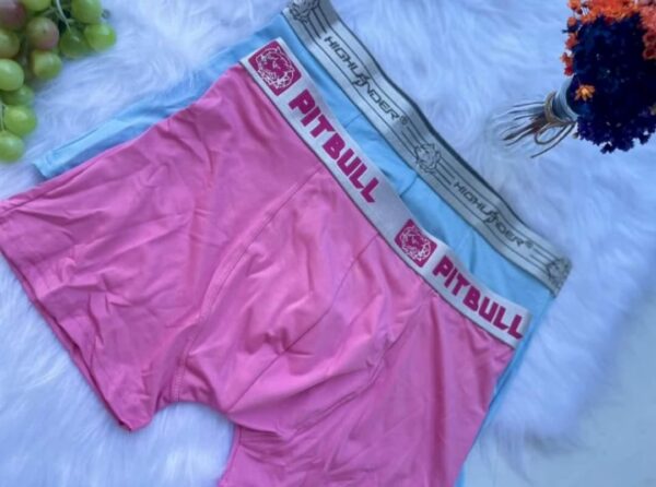 Cueca Boxer Pitbull Lisa Ref.2001 - Image 4